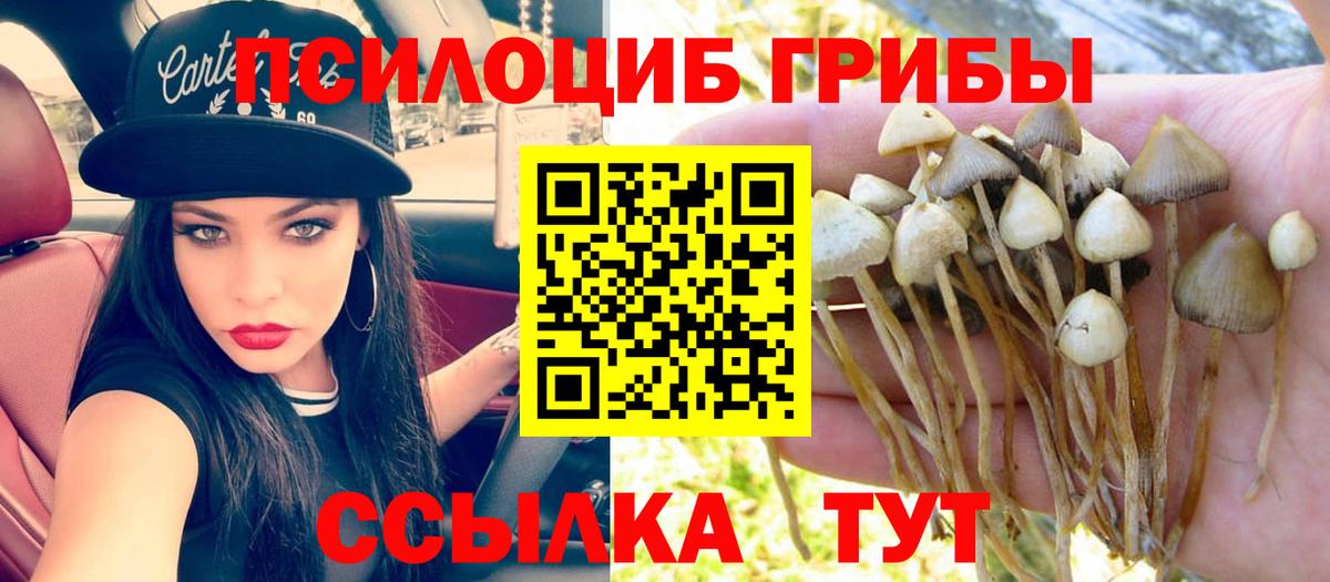 Галлюциногенные грибы Magic Shrooms Белгород